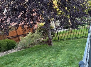 James S.'s Lawn Maintenance service result