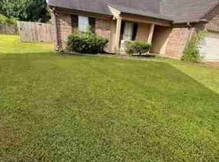 Diana O.'s Yard Cutting service result