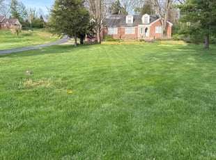 Victor G.'s Yard Cutting service result