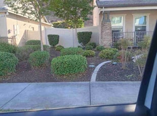 Bush Trimming by James Foster for Jennifer C. in San Jacinto, CA