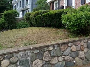 Bush Trimming by Albert Brown for Robin K. in Boston, MA