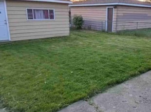 LaTosha G.'s Lawn Care service result