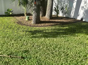 Weeding by James Greer for Dana V. in Edgewater, FL