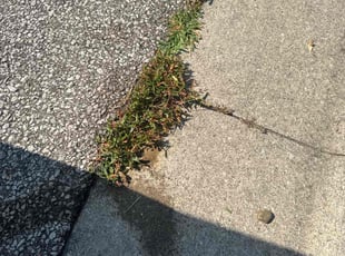 Weeding by jesse dixon for Bret g. in Columbus, OH