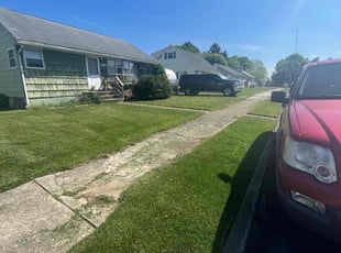 Lin L.'s Lawn Service service result