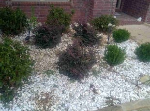 Weeding by Karushoun Kelly for Kristen B. in Sherwood, AR