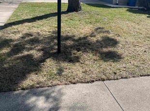 Leaf Removal by Gary Young for Kimberly J. in Warren, MI