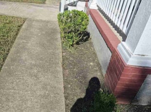 Bush Trimming by Joshua West for Dane R. in Richmond, VA