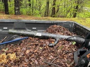 Leaf Removal by Lesley Urban for Paaras K. in Shelburne, VT