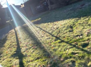 Leaf Removal by Andrew Snell for Charles W. in Detroit, MI