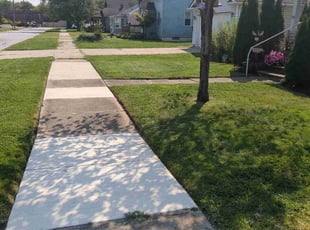 Edward S.'s Lawn Mowing Service service result