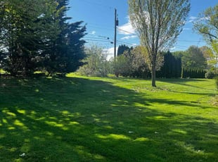 Heather D.'s Lawn Service service result