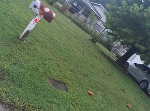 Landscaping by Susan Sanbower for Melissa M. in Lakeland, FL