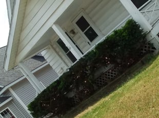Bush Trimming by Jacob Jumper for Jason H. in Wyoming, MI