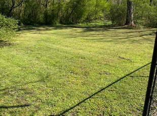ChiQuitta W.'s Grass Cutting service result
