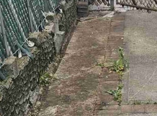 Leaf Removal by Efrain Colon for Pamela S. in Staten Island, NY
