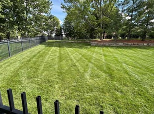 Angela C.'s Lawn Mowing Service service result