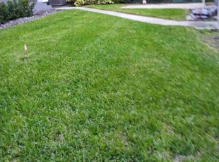 Bruce N.'s Lawn Service service result