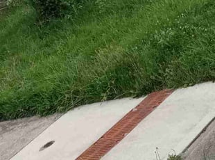 Bush Trimming by Robert Pittman for Sharon M. in Columbus, OH