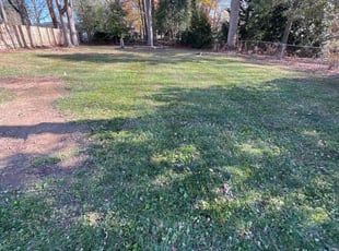 Leaf Removal by Beau Pais for Utkarsh P. in Greensboro, NC
