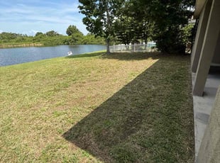 Cleanups by Arely Elrod for Elise S. in Ruskin, FL