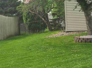 Louis M.'s Lawn Mowing Service service result