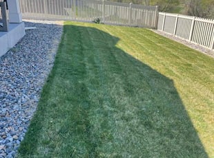 Jesse B.'s Lawn Mowing service result