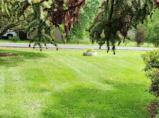 Joseph D.'s Lawn Care service result