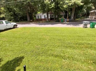 Claudia Z.'s Yard Cutting service result