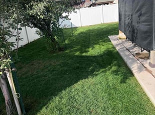 Liz C.'s Lawn Mowing service result