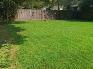 Jenny B.'s Lawn Care service result