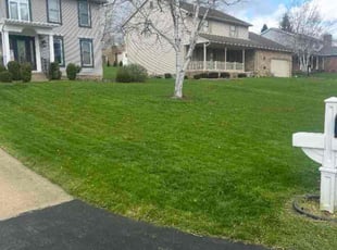 Kim S.'s Lawn Mowing Service service result