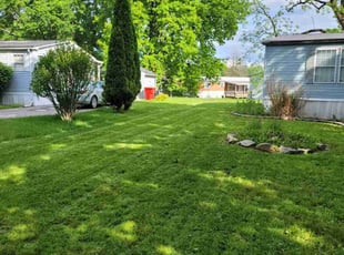 Harry F.'s Lawn Mowing service result