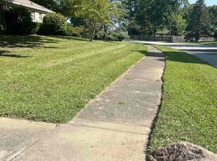 Clinton W.'s Lawn Care service result