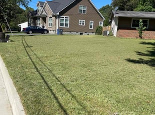 Taylor E.'s Lawn Maintenance service result