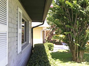 Bush Trimming by Amelisa Pierre for Bruce H. in Seminole, FL