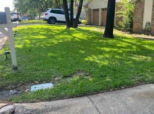 David D.'s Lawn Mowing Service service result