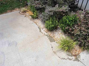 Weeding by Isaiah Cuthbertson for Zach M. in Charlotte, NC