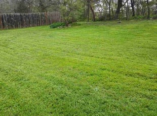 Donna M.'s Lawn Mowing service result