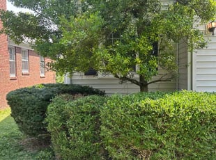 Bush Trimming by Luis Contreras for Wes L. in Indianapolis, IN