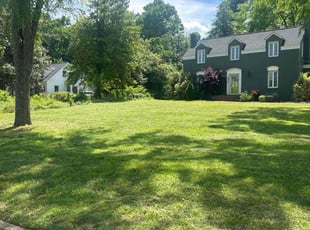 Mariam K.'s Lawn Service service result