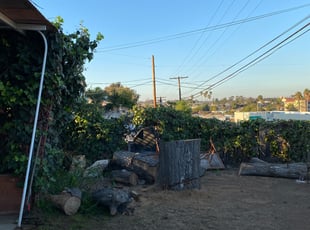 Cleanups by Carmelo Mendez jr for Zack M. in National City, CA