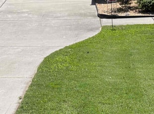 Lesli A.'s Lawn Service service result