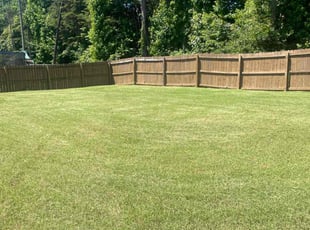 Jose C.'s Lawn Mowing service result