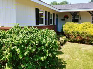 Cleanups by Chris Thomas for Anne R. in Richmond, VA