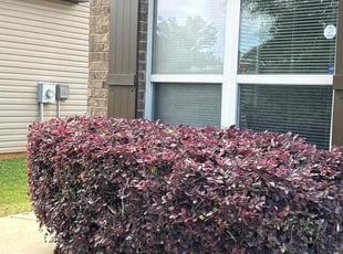 Ron B.'s Lawn Care service result