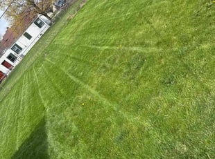 Jay D.'s Lawn Mowing Service service result