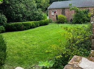 Gail S.'s Lawn Mowing service result