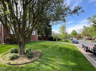 Richard R.'s Lawn Maintenance service result