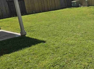 Samar K.'s Lawn Mowing service result